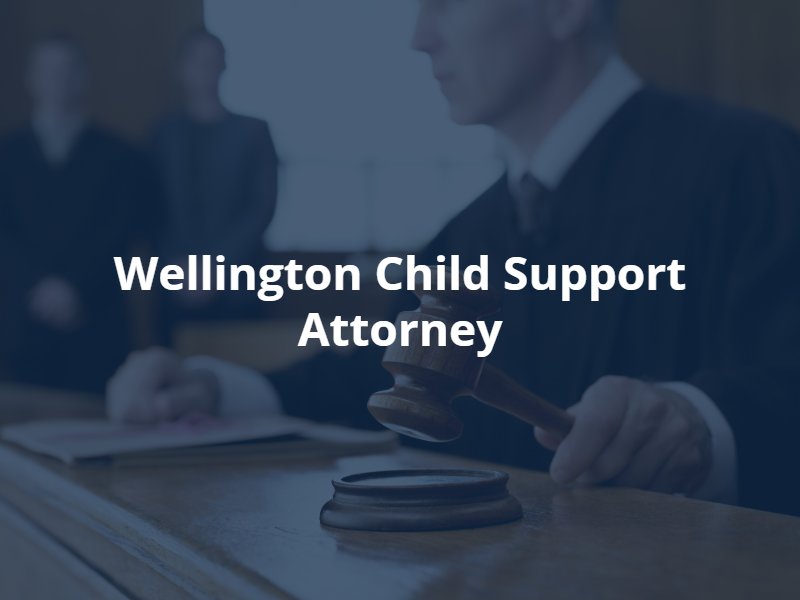 wellington child support lawyer