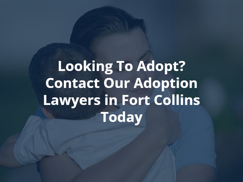 fort collins adoption attorney